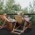 Rasenteppich COMFORT Colours - Anthrazit - 4,00m x 11,00m