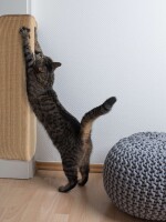 Kratzmatte Katze SISAL | verschiedene Ausführungen