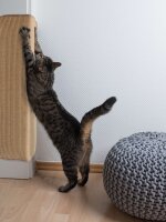 Kratzmatte Katze SISAL | Natur - 100x100 cm