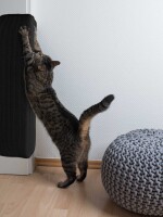 Kratzmatte Katze SISAL | Schwarz - 40x60 cm