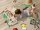 Spiel- und Kinderteppich SAFARI | verschiedene Größen