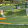 Minigolfschläger mit grünem Kopf und vier Minigolfbällen in Rot, Gelb, Orange und Blau auf Kunstrasen.