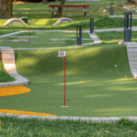 Minigolfschläger mit grünem Kopf und vier Minigolfbällen in Rot, Gelb, Orange und Blau auf Kunstrasen.